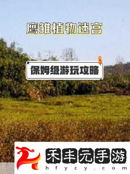 迷宮探險新紀元