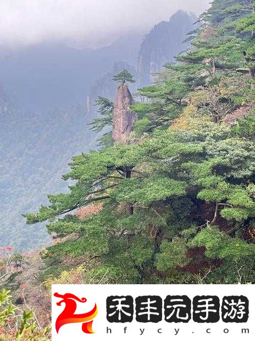 龍族幻想刀片戰士位置詳解