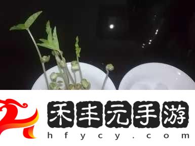 10歲幼兒TREE小學生