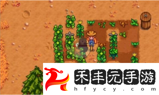 星露谷物語雕刻南瓜任務(wù)如何通關(guān)