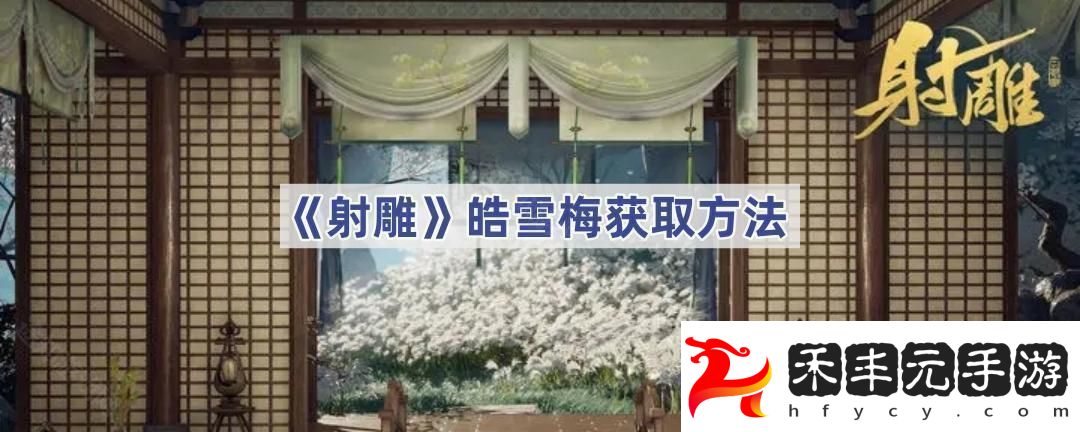 皓雪梅獲取方法