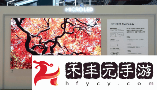 三星攜手青少年進博探館