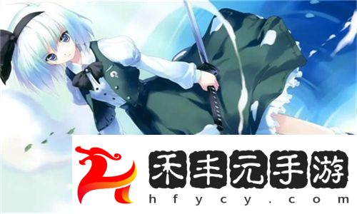 精準對比！三葉草M碼和歐洲碼的區別