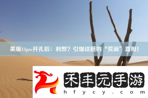 美版14pro開孔后