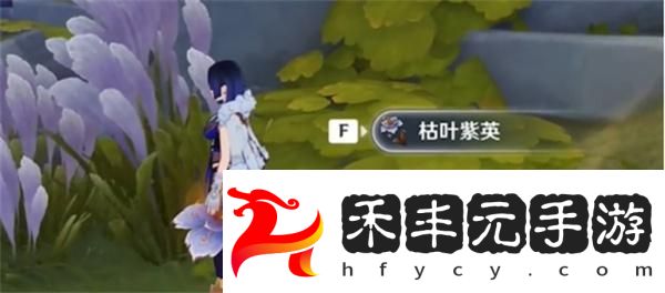 原神枯葉紫英在哪