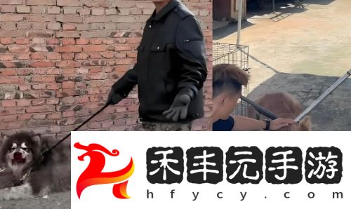 訓狗一哥潘宏又出事，要求主人簽“天價合同”，網友：這波站潘宏