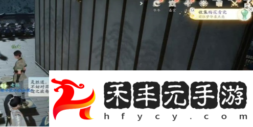 梅花肯瓷收集方法介紹一覽