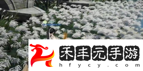 梅花肯瓷收集方法介紹一覽