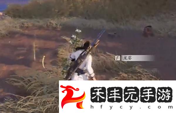 燕云十六聲杏花不見的獲取方法及詳細攻略分享