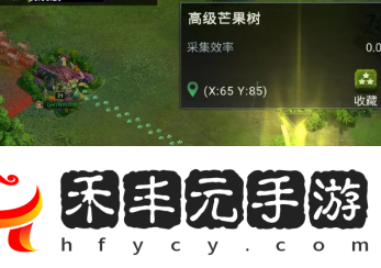 聯盟遠征雨林攻略