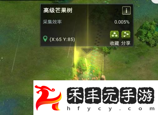 聯盟遠征雨林攻略