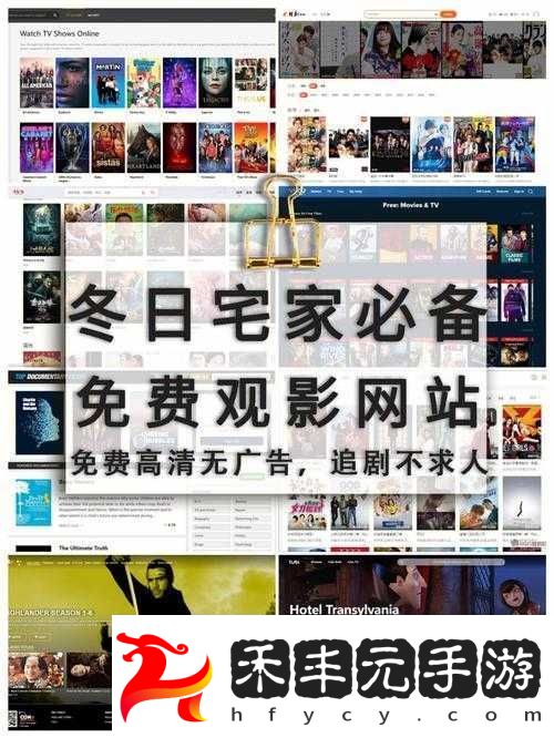 免費網站在線觀看人數在哪網站