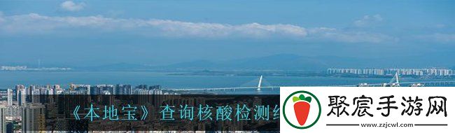 查詢核酸檢測結果方法說明