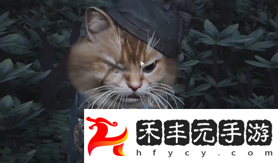 燕云十六聲七閥坡貓咪在哪燕云十六聲七閥坡貓戲全收集攻略