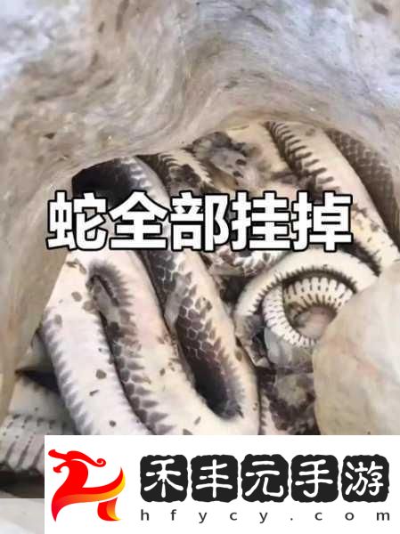 被一條蛇做到崩潰