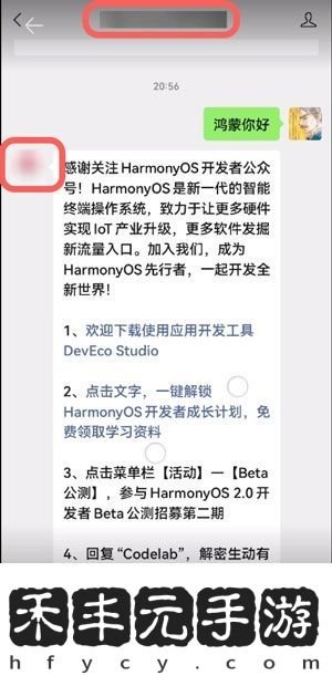 華為聊天隱私保護(hù)如何使用