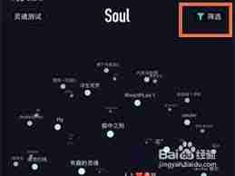 soul如何篩選性別