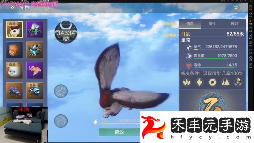 妄想山海吞蛋進化全攻略解鎖寵物戰(zhàn)力新高度
