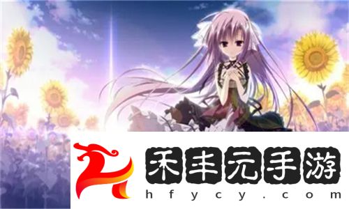中字HD丈夫下屬成就與榮譽(yù)曝光
