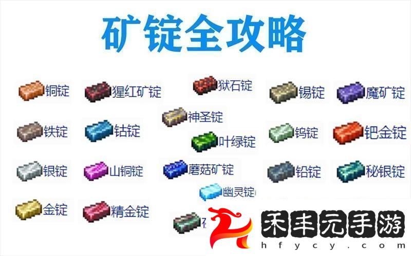 探險家的寶藏——稀有物品全揭秘