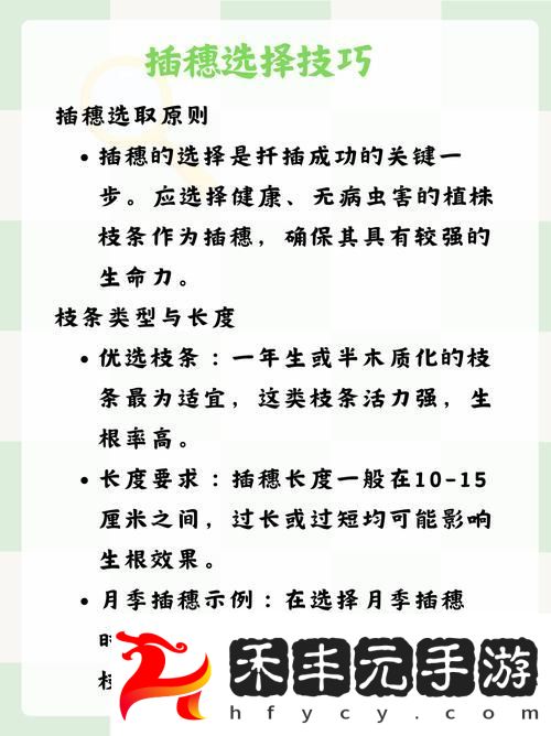 如何在床上進行72種扦插操作的詳盡指南