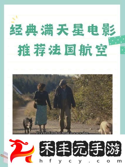 私人航空2滿天星觀看